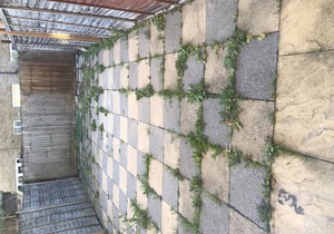 3 bedroom Peckham high street