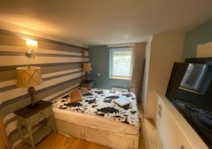 A sun drenched Garden Flat in the heart of Fulham