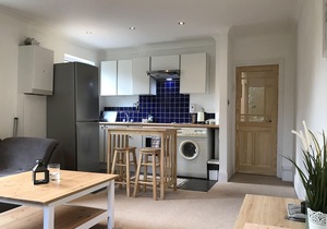Bright airy one bedroom apartment in Putney (zone2)