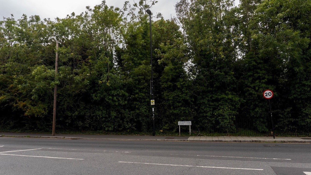 Photo of Others in Forest Hill