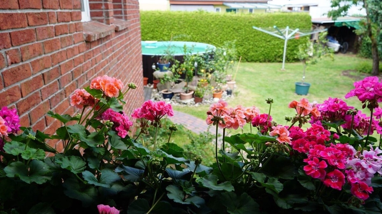 Photo of Outdoor in Lindenberg