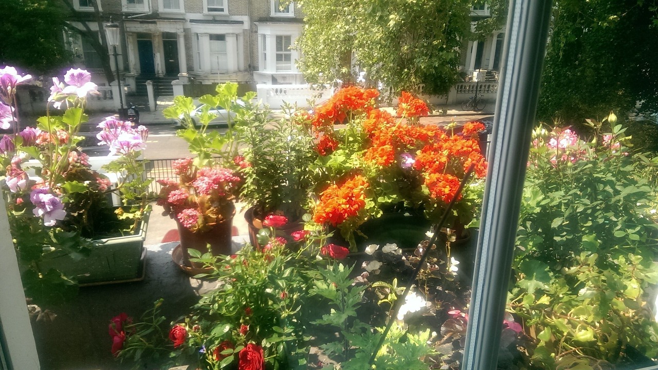 Photo of Patio Balcony in Holland Park