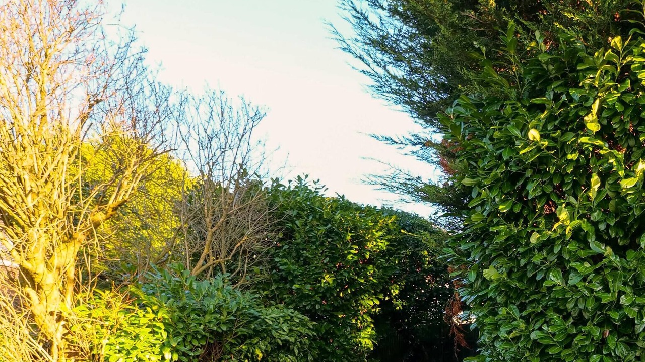 Photo of Outdoor in Finchley Church End
